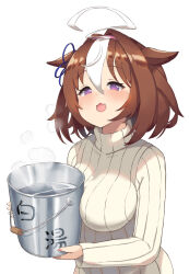 Rule 34 | 1girl, :3, @ @, animal ears, bow, breasts, brown hair, bucket, commentary request, ear ribbon, hair between eyes, hairband, highres, holding, holding bucket, horse ears, horse girl, large breasts, long sleeves, meisho doto (umamusume), multicolored hair, open mouth, pink hairband, purple ribbon, ribbon, sawara noa, short hair, simple background, solo, streaked hair, sweater, translation request, turtleneck, turtleneck sweater, umamusume, upper body, water, white background, white hair, white sweater