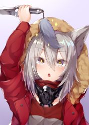 Rule 34 | + +, 1girl, :o, animal ears, arknights, arm up, fur-trimmed hood, fur trim, grey eyes, grey shirt, hair between eyes, highres, holding, holding knife, hood, hood up, hooded jacket, jacket, knife, long hair, long sleeves, mask, mask around neck, open clothes, open jacket, open mouth, projekt red (arknights), purple background, red jacket, shirt, solo, tail, upper body, wolf ears, wolf girl, wolf tail, yuki kawachi
