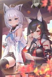 Rule 34 | 2girls, ahoge, animal ear fluff, animal ears, black hair, black shirt, black shorts, black thighhighs, blue neckerchief, blurry, blurry foreground, blush, braid, breasts, commentary, detached sleeves, fox ears, fox girl, green eyes, hair between eyes, hair ornament, hairclip, highres, holding, holding leaf, hololive, hood, hoodie, leaf, long hair, looking at another, maple leaf, medium breasts, midori matsukaze, midriff, multicolored hair, multiple girls, navel, neckerchief, necktie, on railing, ookami mio, ookami mio (1st costume), railing, red hair, red necktie, shirakami fubuki, shirakami fubuki (1st costume), shirt, short shorts, shorts, sidelocks, single braid, single thighhigh, sitting, small breasts, smile, streaked hair, symbol-only commentary, teeth, thighhighs, virtual youtuber, white hair, white hoodie, wolf ears, wolf girl, yellow eyes