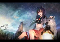 Rule 34 | 1girl, animal, animal ears, bare legs, bird, black hair, blurry, blurry foreground, brooch, cloud, cloudy sky, collaboration, commentary request, de (hato0125), fang, grass, hair between eyes, harutask, highres, imaizumi kagerou, jewelry, letterboxed, long hair, long sleeves, looking at viewer, mountain, night, night sky, open mouth, petting, red eyes, red skirt, shirt, sitting, skirt, sky, smile, solo, star (sky), starry sky, touhou, white shirt, wolf, wolf ears