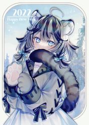 Rule 34 | 1girl, ahoge, animal hands, biting own tail, black hair, blue bow, blue eyes, blue sky, blush, bow, braid, commentary request, day, gloves, hair bow, happy new year, here (hr rz ggg), highres, long sleeves, looking at viewer, mouth hold, multicolored hair, new year, original, outdoors, outside border, paw gloves, shirt, short hair, silver hair, skirt, sky, solo, tail, tiger girl, tiger tail, twin braids, two-tone hair, white shirt, white skirt