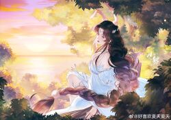 Rule 34 | 1girl, absurdres, animal ears, artist request, bare shoulders, braid, braided ponytail, brown hair, closed mouth, cloud, detached sleeves, douluo dalu, dress, dusk, earrings, fireflies, hair ornament, highres, horizon, jewelry, long hair, looking back, rabbit ears, second-party source, sitting, solo, tree, white dress, xiao wu (douluo dalu)