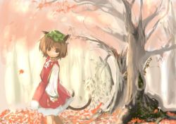 Rule 34 | 1girl, animal ears, autumn, bad id, bad pixiv id, brown eyes, brown hair, cat ears, cat girl, cat tail, chen, earrings, female focus, forest, hat, jewelry, leaf, multiple tails, nature, outdoors, sanoharu, short hair, solo, tail, touhou, tree