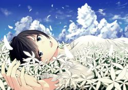 Rule 34 | 1girl, bad id, bad pixiv id, black hair, blue eyes, blue sky, breasts, cloud, cloudy sky, day, field, fingernails, flower, flower field, from side, highres, long sleeves, looking at viewer, looking to the side, lying, motion blur, on back, open mouth, original, outdoors, petals, saka (akurisoh), shirt, short hair, sky, small breasts, smile, solo, upper body, white flower, white shirt