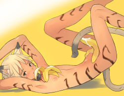 Rule 34 | 1boy, animal ears, banana, cat boy, cat ears, cat tail, coin rand, collar, food, fruit, male focus, nipples, nude, original, sexually suggestive, solo, striped, tail, trap