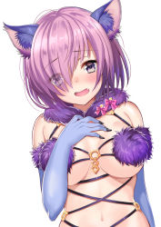 Rule 34 | 1girl, :d, absurdres, akafuku daifuku, animal ears, bad id, bad pixiv id, blue gloves, blush, bow, breasts, elbow gloves, eyebrows, eyelashes, eyes visible through hair, fang, fate/grand order, fate (series), fur trim, gloves, hair over one eye, halloween costume, hand on own chest, highres, large breasts, looking at viewer, mash kyrielight, mash kyrielight (dangerous beast), navel, o-ring, o-ring top, official alternate costume, open mouth, pink bow, purple eyes, purple hair, shiny skin, short hair, simple background, smile, solo, stomach, underboob, upper body, white background, wolf ears