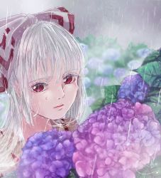 Rule 34 | 1girl, bad id, bad pixiv id, blurry, blurry background, bow, closed mouth, commentary request, crying, crying with eyes open, depth of field, expressionless, flower, fog, fujiwara no mokou, hair bow, hair over shoulder, hair ribbon, highres, hydrangea, lips, long hair, mokoiscat, outdoors, rain, red eyes, ribbon, shirt, signature, silver hair, solo, suspenders, tears, touhou, upper body, wet, wet face, wet hair