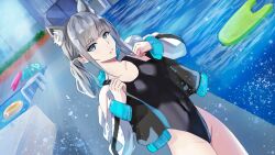Rule 34 | 1girl, animal ear fluff, animal ears, black jacket, black one-piece swimsuit, blue archive, blue eyes, breasts, competition swimsuit, covered navel, cowboy shot, cross hair ornament, dutch angle, extra ears, grey hair, hair ornament, halo, highres, jacket, kickboard, low ponytail, medium breasts, medium hair, mismatched pupils, multicolored clothes, multicolored jacket, multicolored swimsuit, nero (geuk4788), one-piece swimsuit, parted lips, pool, shiroko (blue archive), shiroko (swimsuit) (blue archive), solo, standing, swimsuit, water, wolf ears