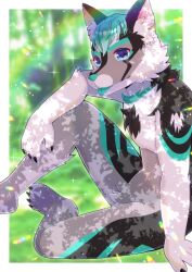 Rule 34 | animal ear fluff, animal ears, blue eyes, blurry, blurry background, claws, colored tongue, commentary request, commission, depth of field, furry, green hair, green tongue, knee up, kou hiyoyo, original, shadow, sitting, skeb commission, solo