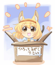 Rule 34 | 1girl, :3, alice margatroid, animal ears, bell, neck bell, blush, box, cardboard box, cat ears, cat girl, cat tail, chibi, collar, female focus, for adoption, in box, in container, kemonomimi mode, open mouth, sakino shingetsu, smile, solo, tail, touhou, translation request