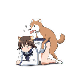Rule 34 | 1girl, animal ears, bestiality, blush, brown hair, closed mouth, clothed sex, dog, dog ears, doggystyle, hiro yoshinaka, miyafuji yoshika, sex, sex from behind, short hair, strike witches, vaginal, world witches series