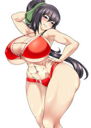 Rule 34 | 1girl, abs, bikini, black hair, blush, breasts, cleavage, curvy, huge breasts, long hair, muscular, muscular female, parted lips, ponytail, purple eyes, red bikini, shinonono houki, simple background, sirat111, solo, swimsuit, thick thighs, thighs, underboob, wide hips