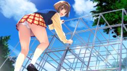 1girl :d black_footwear blue_sky blue_vest brown_eyes brown_hair day doukyuusei_(series) doukyuusei_2 doukyuusei_2_school_uniform from_below game_cg highres long_sleeves looking_at_viewer looking_back looking_down miniskirt official_art open_mouth outdoors panties pantyshot plaid_clothes plaid_skirt pleated_skirt red_trim school_uniform shirt short_hair skirt sky smile socks solo sumeragi_kohaku tsuzuki_kozue underwear vest white_panties white_socks yellow_shirt yellow_skirt