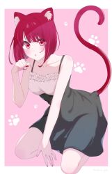 Rule 34 | 1girl, :o, animal ears, arima kana, bare shoulders, black dress, blush, bob cut, border, cat ears, cat girl, cat tail, dress, highres, inverted bob, looking at viewer, medium hair, open mouth, oshi no ko, pink background, red eyes, red hair, red tail, solo, tail, watano yuki, white background, white border