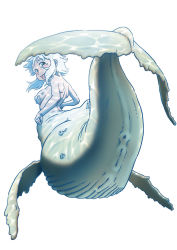 Rule 34 | 1girl, anus, blue hair, breasts, female focus, from behind, horihone saizou, looking back, monster girl, open mouth, original, pussy, simple background, solo, whale girl, white background