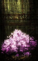 Rule 34 | aoha (twintail), cherry blossoms, commentary request, highres, industrial pipe, light rays, no humans, original, ruins, rust, scenery, tree