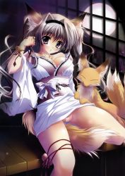 Rule 34 | animal, animal ears, blush, breasts, cleavage, highres, japanese clothes, tail