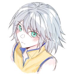 Rule 34 | 1boy, absurdres, blue eyes, blush, closed mouth, from above, from side, gongju s2, grey hair, highres, kingdom hearts, portrait, riku (kingdom hearts), shirt, short hair, simple background, sleeveless, solo, white background, yellow shirt