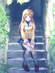 Rule 34 | 1girl, :o, ahoge, akayama yukihe, blazer, blue eyes, blue skirt, blush, brown footwear, brown hair, clannad, commentary request, dappled sunlight, day, full body, hands on own thighs, highres, hikarizaka private high school uniform, jacket, kneehighs, knees together feet apart, loafers, long hair, long sleeves, looking at viewer, miniskirt, miyazawa yukine, open mouth, outdoors, pleated skirt, sailor collar, school uniform, shoes, sidelighting, sidelocks, sitting, sitting on stairs, skirt, socks, solo, stairs, sunlight, turtleneck, white sailor collar, white socks, yellow jacket