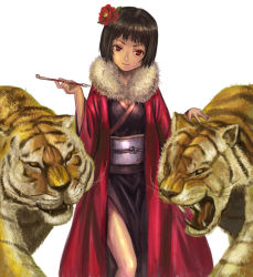 Rule 34 | fur boa, hashi, japanese clothes, kimono, new year, smoking pipe, tiger, kiseru