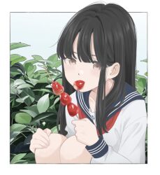 Rule 34 | 1girl, black hair, blue sailor collar, border, brown eyes, candy, collarbone, fingernails, foliage, food, food in mouth, fruit, hair behind ear, hand on own knee, holding, holding food, knees, leaf, long hair, long sleeves, looking to the side, original, outside border, plant, sailor collar, school uniform, serafuku, sleeve cuffs, solo, squatting, strawberry, white border, white serafuku, yuum1709