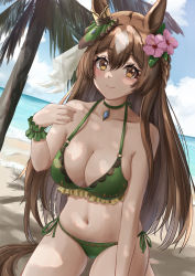 Rule 34 | 1girl, absurdres, aimi (tikichin0229), animal ears, bare shoulders, beach, bikini, blue gemstone, blush, braid, breasts, brown eyes, brown hair, choker, cleavage, closed mouth, collarbone, commentary request, dappled sunlight, day, ear ornament, eyelashes, flower, frilled bikini, frills, gem, green bikini, green choker, green ribbon, grey hair, hair flower, hair ornament, half updo, hibiscus, highres, horse ears, horse girl, horse tail, kneeling, large breasts, long hair, looking at viewer, multicolored hair, navel, o-ring, o-ring bikini, o-ring top, ocean, outdoors, pink flower, ribbon, satono diamond (umamusume), side-tie bikini bottom, smile, solo, stomach, sunlight, swimsuit, tail, two-tone hair, umamusume, very long hair, wrist cuffs