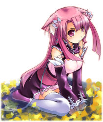 Rule 34 | animal ears, blush, cat ears, elbow gloves, flower, gloves, long hair, skirt, thighhighs, xiao qiao