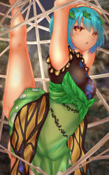 Rule 34 | 1girl, antennae, arms up, bare legs, barefoot, bdsm, blue hair, bondage, bound, breasts, brown eyes, butterfly wings, dress, eternity larva, feet out of frame, gluteal fold, green dress, hair ornament, highres, insect wings, leaf, leaf hair ornament, leaf on head, multicolored clothes, multicolored dress, open mouth, short sleeves, shounen (hogehoge), silk, single strap, small breasts, spider web, split, standing, standing on one leg, standing split, sweat, touhou, wings