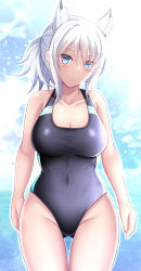 Rule 34 | 1girl, absurdres, animal ear fluff, animal ears, black one-piece swimsuit, blue archive, blue eyes, blue sky, breasts, collarbone, competition swimsuit, covered navel, cowboy shot, day, extra ears, gluteal fold, highres, kanna (minamozuki), large breasts, ocean, one-piece swimsuit, ponytail, shiroko (blue archive), shiroko (swimsuit) (blue archive), sky, solo, standing, swimsuit, two-tone swimsuit, white hair