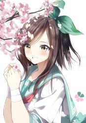 Rule 34 | 1girl, blue sailor collar, blurry, blurry background, blush, branch, brown eyes, brown hair, cherry blossoms, commentary request, depth of field, flower, green ribbon, grin, hair ribbon, hands up, highres, holding, holding flower, long hair, looking at viewer, open beta (vtuber), original, pentagon (railgun ky1206), pink flower, ribbon, sailor collar, school uniform, serafuku, shirt, short hair with long locks, short sleeves, simple background, smile, solo, swept bangs, upper body, virtual youtuber, white background, white shirt