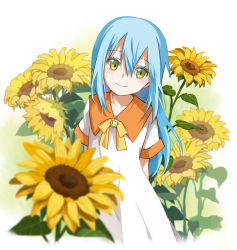 Rule 34 | 1other, aged down, arms behind back, blue hair, blurry, blurry foreground, blush, bow, bowtie, closed mouth, collarbone, dress, flower, hair between eyes, highres, long hair, looking at viewer, rimuru tempest, short sleeves, shoura, smile, solo, straight hair, sundress, sunflower, tensei shitara slime datta ken, white background, white dress, yellow bow, yellow bowtie, yellow eyes