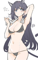 Rule 34 | 1girl, alternate costume, animal ears, arknights, arm up, armpits, bare arms, bare shoulders, bikini, black bikini, black hair, blaze (arknights), blue eyes, breasts, cat ears, cat girl, cat tail, cleavage, closed mouth, collarbone, cowboy shot, earrings, hjl (15623862639), jewelry, long hair, looking at viewer, lowleg, lowleg bikini, medium breasts, navel, simple background, steaming body, stomach, stud earrings, sweat, swimsuit, tail, towel, towel around neck, very long hair, white background
