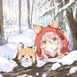 Rule 34 | 1girl, :o, animal, animal ear fluff, animal ears, animal on head, bird, blush, brown eyes, capelet, commentary request, day, ears through headwear, fang, footprints, forest, fox, fringe trim, hair between eyes, hands up, hood, hood up, hooded capelet, nature, on head, original, outdoors, parted lips, peeking out, pink hair, red capelet, scarf, shirt, shovel, snow, snowman, solo, wataame27, white shirt, wolf-chan (wataame27), wolf ears, yellow scarf