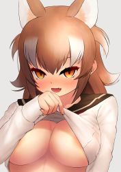 Rule 34 | 1girl, :d, absurdres, alternate costume, animal ears, blush, breasts, brown hair, clothes lift, deku suke, fang, grey background, highres, japanese wolf (kemono friends), kemono friends, large breasts, lifting own clothes, long hair, long sleeves, looking at viewer, multicolored hair, open mouth, orange eyes, school uniform, serafuku, shirt lift, simple background, skin fang, smile, solo, two-tone hair, underboob, upper body, v-shaped eyebrows, white hair, wolf ears