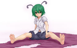 Rule 34 | 1girl, antennae, barefoot, blouse, feet, female focus, full body, gradient background, green eyes, green hair, highres, kuro suto sukii, legs, matching hair/eyes, shirt, short hair, simple background, sitting, soles, solo, spread legs, spread toes, toes, touhou, white background, white shirt, wriggle nightbug