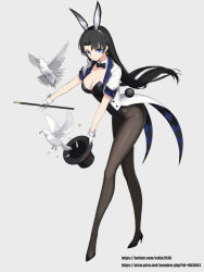 Rule 34 | 1girl, animal ears, bird, black hair, black leotard, blue eyes, bow, bowtie, coat, detached collar, earrings, fake animal ears, fake tail, full body, gloves, grey background, hat, high heels, highres, jewelry, leotard, long hair, long legs, looking at viewer, magician, original, pantyhose, pigeon, playboy bunny, rabbit ears, rabbit tail, rikui (rella2930), smile, solo, star (symbol), strapless, strapless leotard, tail, tailcoat, top hat, wand, white coat, white gloves, wrist cuffs