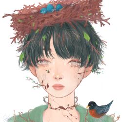 Rule 34 | 1boy, animal, animal on shoulder, bird, bird nest, bird on shoulder, black hair, branch, brown eyes, commentary, crack, crying, crying with eyes open, egg, empty eyes, english commentary, expressionless, green shirt, kikkidream, leaf, leaf on head, long eyelashes, male focus, nest, nest on head, original, realistic, red lips, robin (bird), shirt, short hair, solo, streaming tears, tears, upper body, white background