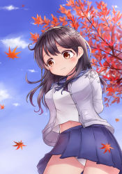 Rule 34 | 10s, 1girl, absurdres, arms behind back, autumn leaves, blue skirt, blue sky, brown eyes, brown hair, cardigan, day, eyelashes, falling leaves, from below, highres, jacket, kantai collection, leaf, looking away, navel, neit ni sei, open cardigan, open clothes, open jacket, panties, pantyshot, pleated skirt, sailor collar, school uniform, shade, shirt, skirt, sky, solo, standing, underwear, ushio (kancolle), wavy mouth, white panties, white shirt