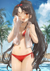 Rule 34 | 1girl, bare arms, bare legs, bare shoulders, bikini, black hair, blush, brown eyes, collarbone, cowboy shot, day, high ponytail, highres, kantai collection, long hair, navel, nisshin (kancolle), ocean, one eye closed, open mouth, outdoors, red bikini, short eyebrows, smile, solo, swimsuit, toka (marchlizard), towel, towel around neck, tree, very long hair