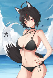 Rule 34 | 1girl, absurdres, ahoge, animal ears, arched back, bare arms, bare shoulders, beach, bikini, black bikini, black choker, black hair, blue sky, blush, braid, breasts, choker, cleavage, commentary, criss-cross halter, curvy, dark persona, double-parted bangs, dreamoon, fingernails, fox ears, fox girl, fox tail, front-tie bikini top, front-tie top, groin, hair between eyes, halterneck, hands on own hips, highres, hololive, kurokami fubuki, large breasts, looking at viewer, nail polish, narrow waist, navel, ocean, red eyes, red nails, shirakami fubuki, short hair, side-tie bikini bottom, side braid, sky, solo, stomach, string bikini, swimsuit, tail, virtual youtuber, wide hips