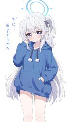 Rule 34 | 1girl, absurdres, blue archive, blue halo, blue hoodie, blush, braid, chinese commentary, closed mouth, collarbone, exusiai dust, feet out of frame, grey hair, halo, hand in pocket, highres, hood, hoodie, long hair, long sleeves, looking at viewer, mixed-language commentary, miyako (blue archive), miyako (young) (blue archive), one side up, panties, pom pom (clothes), purple eyes, simple background, solo, translation request, underwear, white background, white panties