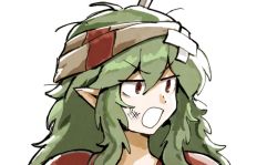 Rule 34 | 1other, androgynous, annoyed, bandaid, bandaid on head, commentary request, crossed bandaids, green hair, hair between eyes, hemo (hemoroda), len&#039;en, long hair, pointy ears, portrait, red eyes, scrape, simple background, solo, taira no fumikado, v-shaped eyebrows, white background