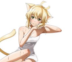 Rule 34 | 1girl, animal ears, antenna hair, argo the rat, arm support, blonde hair, bow, breasts, cat ears, cat tail, cleavage, collarbone, facial mark, green eyes, hair bow, looking at viewer, naked towel, shiny skin, short hair with long locks, sidelocks, sitting, small breasts, smile, solo, sword art online, tail, towel, transparent background, wet, whisker markings, white towel