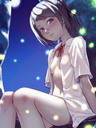 Rule 34 | 1girl, arms at sides, blue sky, blush, boulder, breasts, brown eyes, brown hair, closed mouth, collared shirt, commentary, dress shirt, embarrassed, fireflies, from below, gradient sky, hair up, hand rest, looking at viewer, looking down, naked shirt, navel, neck ribbon, night, no bra, nose blush, open clothes, open shirt, original, outdoors, paid reward available, ponytail, red ribbon, ribbon, rock, shirt, short sleeves, sitting, sky, small breasts, soon (c-u-soon), swept bangs, thighs, underboob