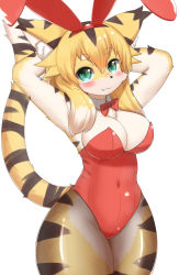 Rule 34 | :3, animal ears, arms behind head, bare arms, blush, bow, bowtie, breasts, cleavage, closed mouth, collar, covered navel, cowboy shot, detached collar, fake animal ears, fang, furry, furry female, green eyes, hair between eyes, hair flaps, highres, horokusa (korai), large breasts, leotard, long hair, looking at viewer, mia (world flipper), playboy bunny, rabbit ears, red bow, red bowtie, red leotard, short eyebrows, simple background, smile, snout, tail, tail raised, thick eyebrows, thick thighs, thighs, tiger ears, tiger girl, tiger tail, white background, white collar, wide hips, world flipper