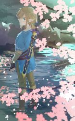 Rule 34 | 1boy, blonde hair, blue eyes, blue tunic, boots, branch, brown footwear, cherry blossoms, closed mouth, commentary request, day, fingerless gloves, from behind, gloves, hair between eyes, highres, link, looking at viewer, looking back, male focus, master sword, nintendo, outdoors, pointy ears, rock, solo, sword, the legend of zelda, the legend of zelda: breath of the wild, wading, water, weapon, zmauuchan