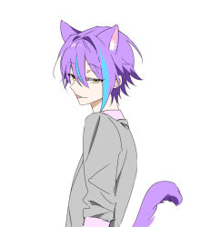 Rule 34 | animal ears, cat boy, cat ears, cat tail, hk (wgyz7222), kamishiro rui, long sleeves, multicolored hair, project sekai, streaked hair, tail, tongue, tongue out, white background, wonderlands x showtime (project sekai), yellow eyes