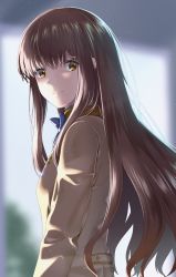 Rule 34 | 1girl, absurdres, blue bow, bow, brown hair, fate/extra, fate (series), highres, kamehito, kishinami hakuno (female), long hair, looking at viewer, looking back, school uniform, smile, solo, tsukumihara academy uniform (fate/extra), yellow eyes