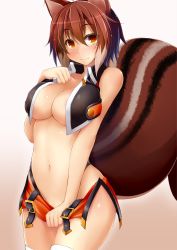 Rule 34 | 1girl, animal ears, bare shoulders, blazblue, blush, breasts, cleavage, cowboy shot, curvy, dd mayohara, hand on own chest, large breasts, large tail, light smile, looking at viewer, makoto nanaya, multicolored hair, navel, orange eyes, orange skirt, short hair, skirt, skirt tug, smile, solo, squirrel ears, squirrel tail, standing, stomach, tail, thighhighs, two-tone hair, white thighhighs, wide hips