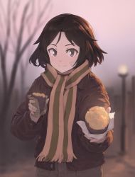 Rule 34 | 1girl, bandage on face, bandages, bare tree, black eyes, black hair, blurry, brave witches, dark, depth of field, dusk, food, highres, jacket, kanno naoe, lamppost, leather, leather jacket, looking at viewer, outdoors, pov, reaching, reaching towards viewer, roasted sweet potato, scarf, shiratama (hockey), short hair, sky, smile, solo, sweet potato, texture, tree, upper body, world witches series